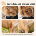 Load image into Gallery viewer, Καταπραϋντική Κρέμα για Σκύλους & Γάτες, για Ερεθισμούς, Χτυπήματα και Ευαίσθητο Δέρμα