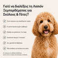Load image into Gallery viewer, Λοσιόν Ξεμπερδέματος για Σκύλους & Γάτες, με πρωτεϊνικό σύμπλεγμα περιποίησης