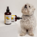 Load image into Gallery viewer, For Love & Pets Shine- Bright Lotion 250ml
