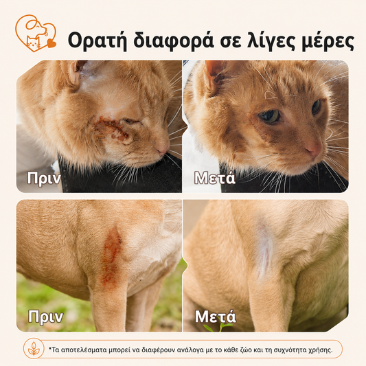 Καταπραϋντική Κρέμα για Σκύλους & Γάτες, για Ερεθισμούς, Χτυπήματα και Ευαίσθητο Δέρμα