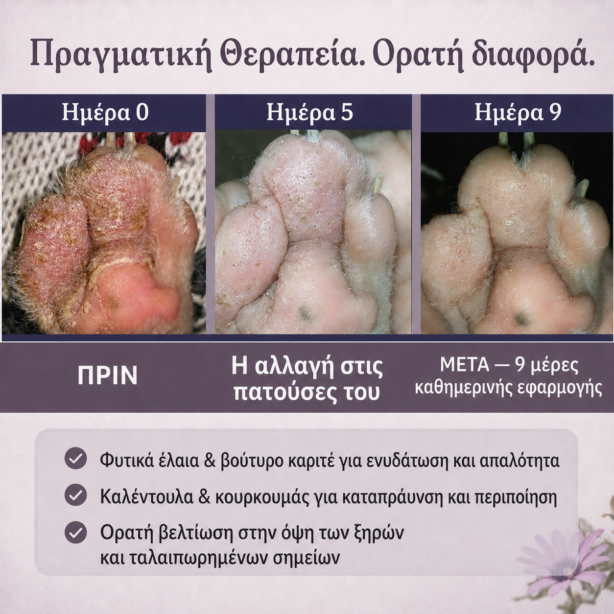 Balm για Πατούσες και Μύτη Σκύλου & Γάτας, Προστασία και Μαλακό δέρμα