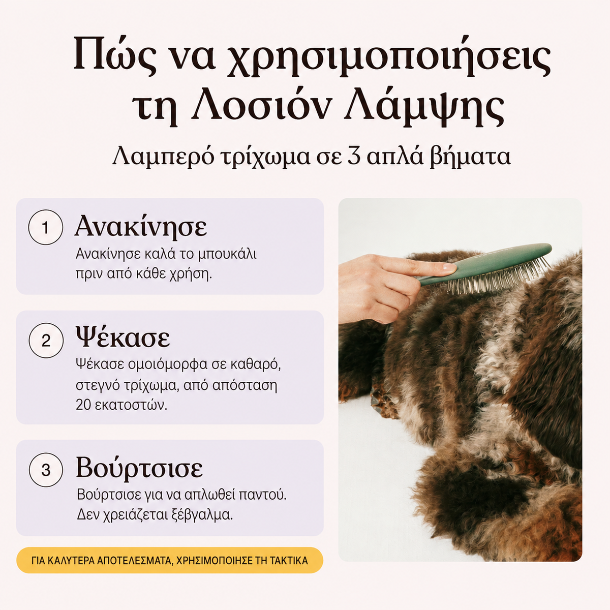 Λοσιόν Λάμψης για Σκύλους & Γάτες 250ml , Απαλό και Λαμπερό Τρίχωμα Χωρίς Ξέβγαλμα