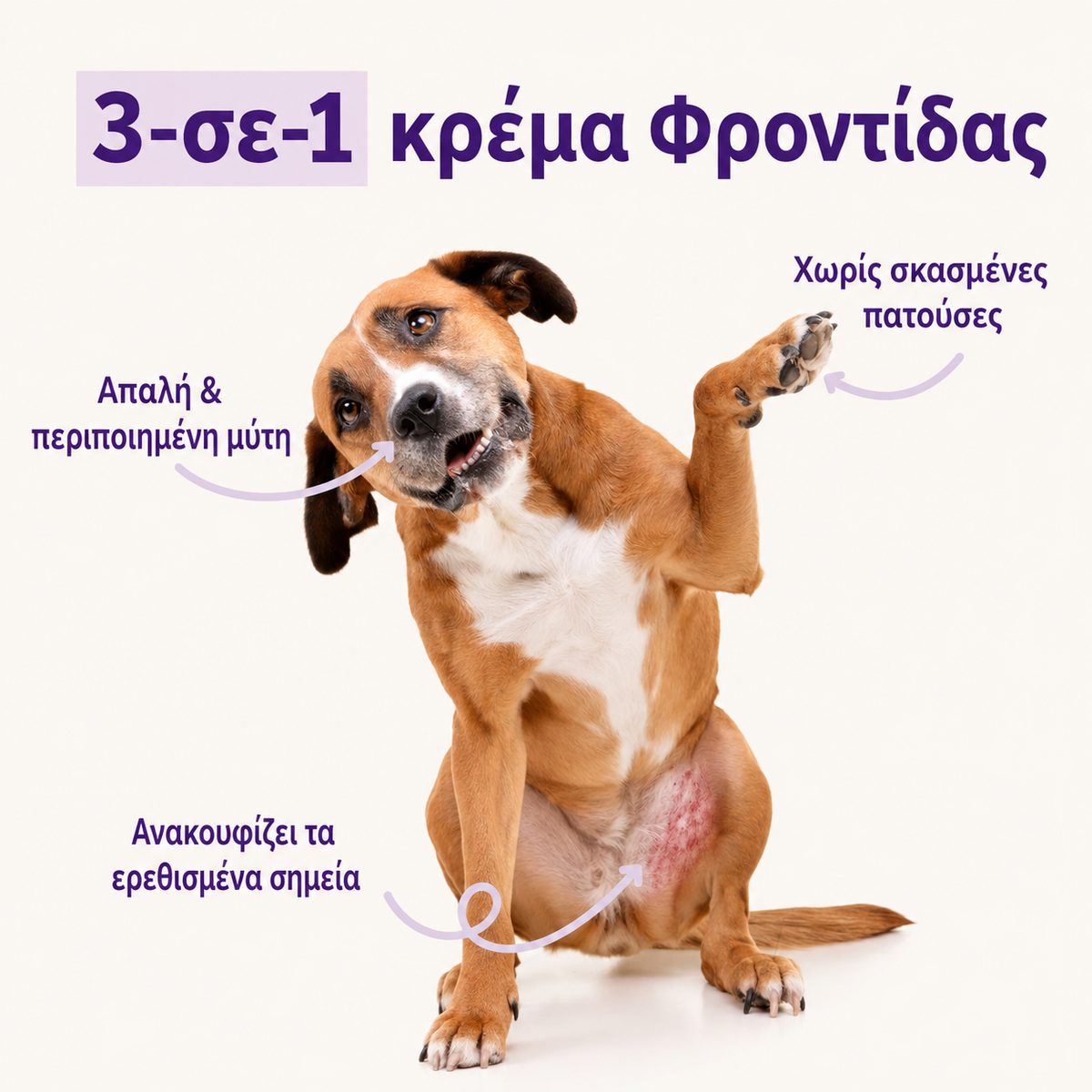 Balm για Πατούσες και Μύτη Σκύλου & Γάτας, Προστασία και Μαλακό δέρμα