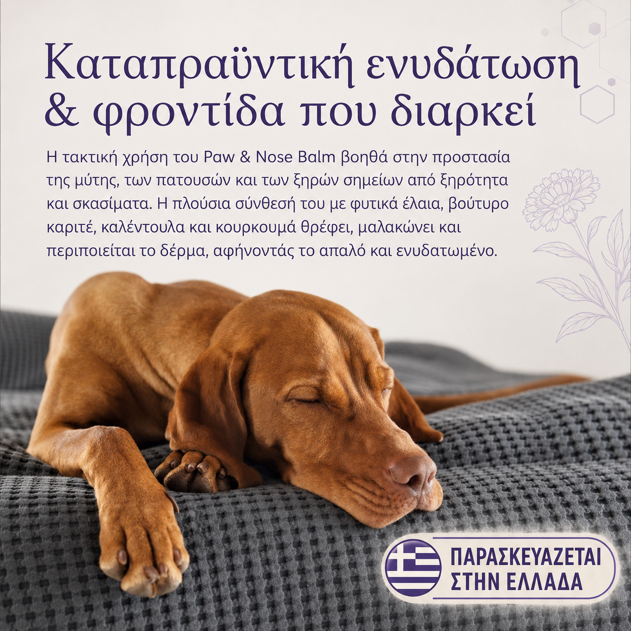 Balm για Πατούσες και Μύτη Σκύλου & Γάτας, Προστασία και Μαλακό δέρμα