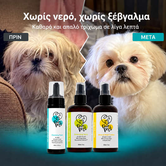Σετ Περιποίησης Χωρίς Νερό για Σκύλους & Γάτες, Καθαρό και Περιποιημένο Τρίχωμα Χωρίς Μπάνιο
