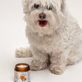 Load image into Gallery viewer, For Love & Pets Calming Cream 100ml
