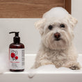 Load image into Gallery viewer, For Love & Pets Shampoo- Conditioner 250ml
